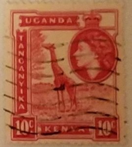 Kenya, Uganda & Tanzania 104