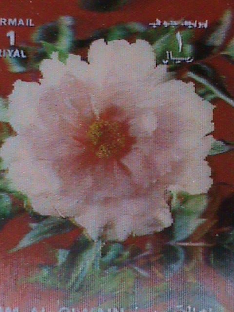 ​QIWAIN STAMP - LOVELY COLORFUL PINK FLOWERS- AIRMAIL- 3-D STAMP MNH #5