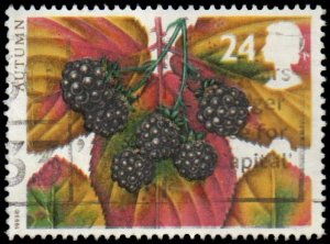 Great Britain 1511 - Used - 24p Blackberries (1993) (cv $0.60)