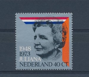 Netherlands - 1973 - NVPH 1036 - MNH - RB204