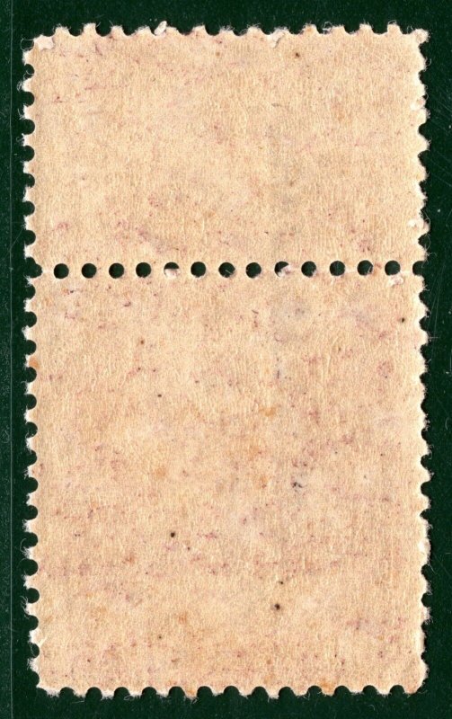 MEXICO Revenue Stamp & Talon 2c 1909-1910 GUADALAJARA Mint MM