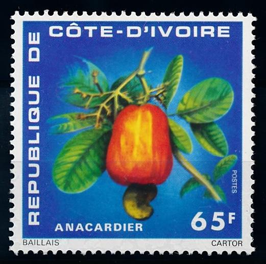 [65896] Ivory Coast 1976 Flora Fruit Frucht  MNH