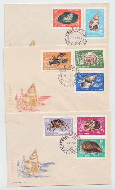 Romania 1966 COVER SEASHELL CRAB MARINE LIFE FIRST DAY POST