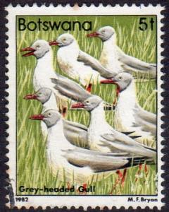 Botswana 307 - Used - 5t Grey-headed Gulls (1982) (cv $ 2.30) (2)