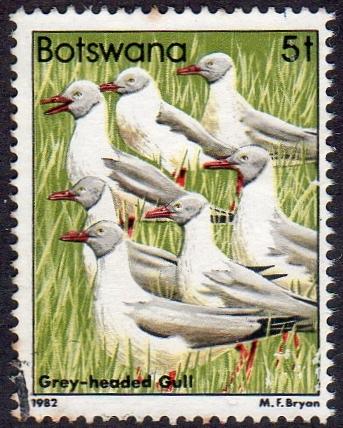 Botswana 307 - Used - 5t Grey-headed Gulls (1982) (cv $ 2.30) (2)