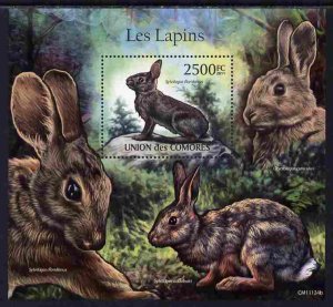 COMORO ISLANDS - 2011 - Rabbits - Perf Souv Sheet - MNH - Private Issue