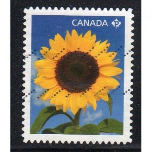 Canada 2444 - Used - Yellow Sunflower (cv 0.65) +