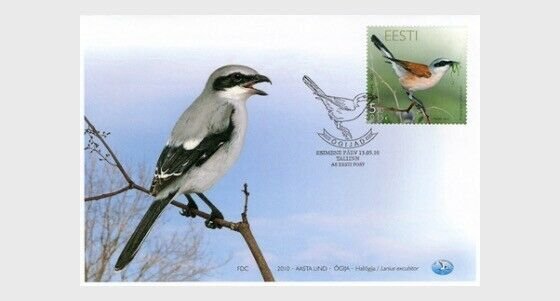 2010  ESTONIA  -  SG: 620  - SHRIKE  - BIRD  FIRST DAY COVER