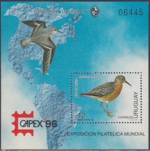 URUGUAY Sc # 1615 CPL MNH SOUVENIR SHEET for CAPEX 1996 - BIRDS