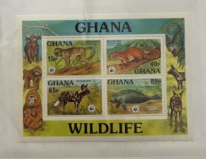 Souvenir Sheet Ghana Scott #625 nh