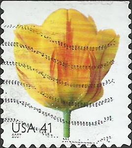 # 4185 USED TULIP