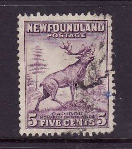 Newfoundland- Sc#257-used 5c Caribou-id6-1941-44-