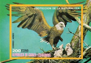 Equatorial Guinea 1976 NORTH AMERICA BIRDS EAGLE s/s Imperforated Mint (NH)