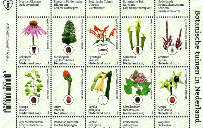 COLOR PRINTED NETHERLANDS 2011-2020 STAMP ALBUM PAGES (159 illustrated pages)