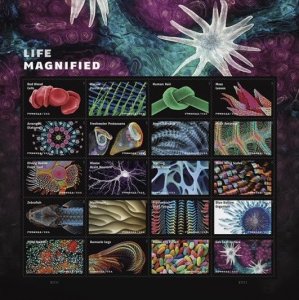 #5802 2023 Life Magnified Sheet/20 - MNH (After 8/10)