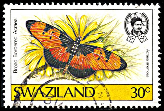 Swaziland 510, used, Broad-bordered Acraea Butterfly