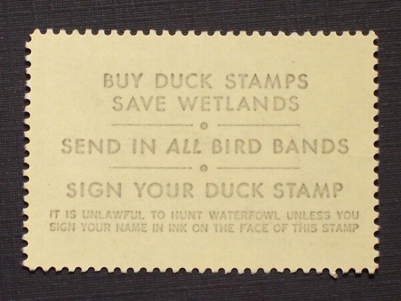 US Duck Stamp - Scott# RW45 Mint Never Hinged Single