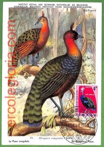 32861 - CONGO - MAXIMUM CARD - 1963 - FAUNA, BIRDS-