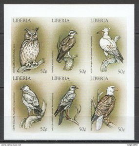 Imperforate Liberia Fauna Birds Of Prey Owls Kb ** Bz001