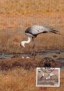 Malawi 1987 Maxicard Sc #496 20t Wattled crane WWF