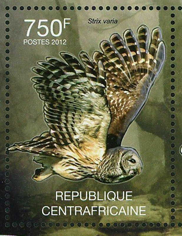 Owls Stamp Asio Flammeus Asio Otus Strix Varia S/S MNH #3636 / Bl.942 