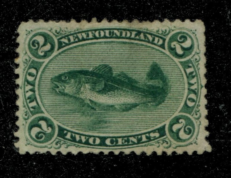 Newfoundland #24 SG 31 MNG VF 2c Cod [N4061] CV=$50.00