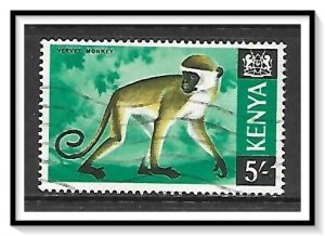 Kenya #33 Vervet Monkey Used