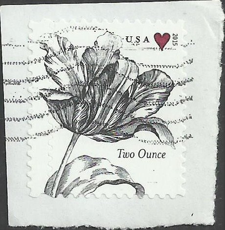 # 5002 Used Tulip & Heart