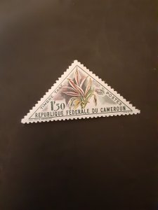+Cameroun #J39*