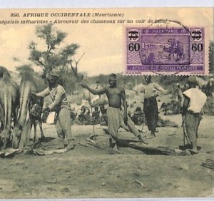 France Cols AOF MAURITANIA Postcard Ethnic PPC View Side {samwells-covers}YW14