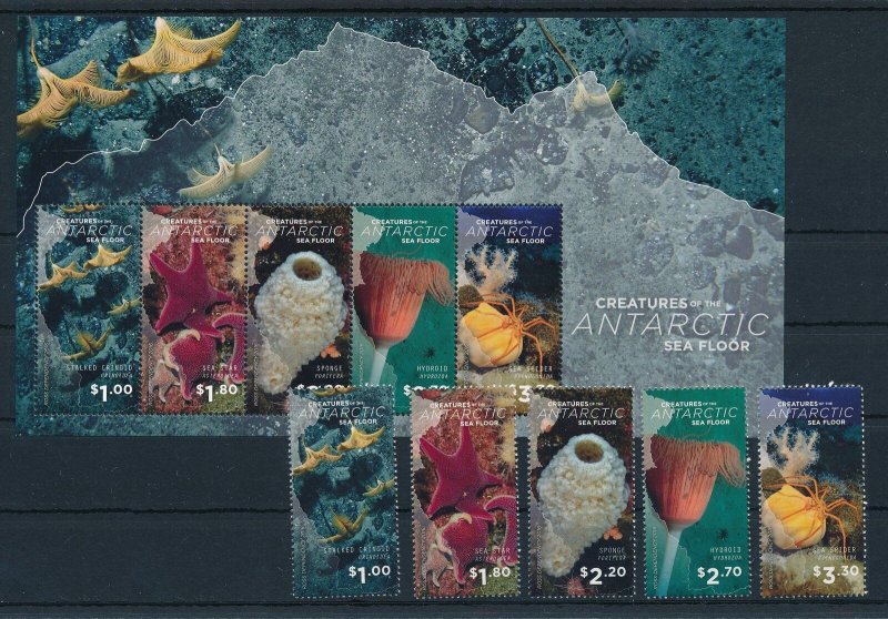 [113781] Ross Dependency New Zealand 2016 Marine life starfish with Sheet MNH