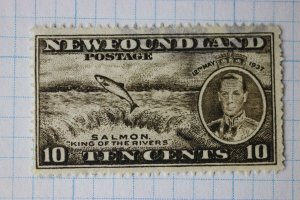 Newfoundland Canada sc#237 used