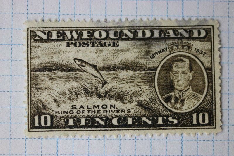 Newfoundland Canada sc#237 used