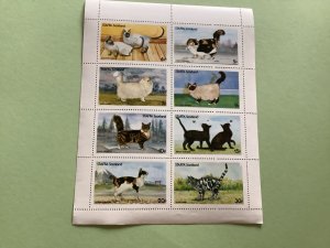 Staffa Scotland Different types of Cats mint stamps sheet R49561