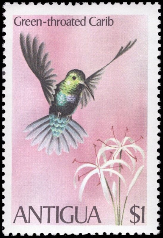 Antigua 1980 Sc 587-590 Bird Kingfisher Pigeon Carib Stilt CV $6.40