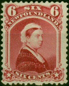 Newfoundland 1894 6c Crimson-Lake SG60 Fine MM