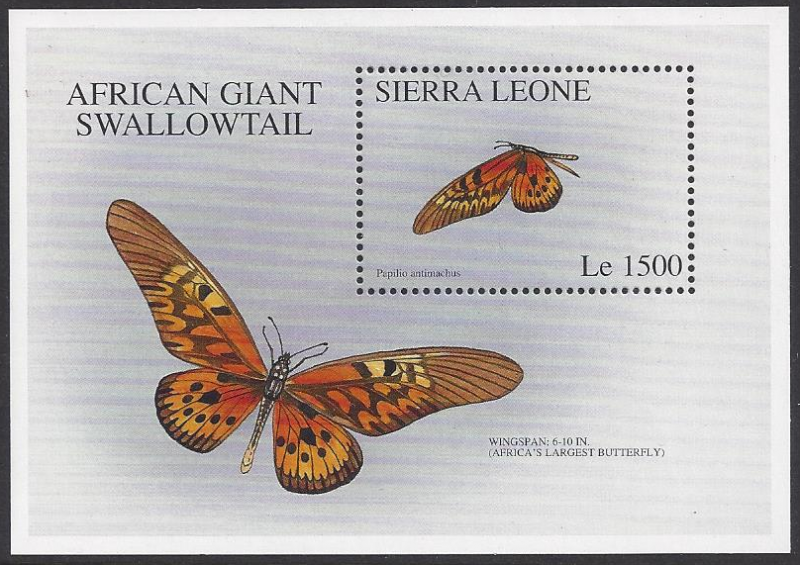 Sierra Leone #1911&12, mint SS, butterflies issued 1996