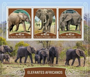 Sao Tome & Principe 2021 MNH Wild Animals Stamps African Elephants 3v M/S