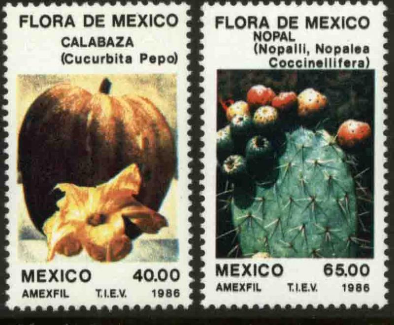 MEXICO 1434-1435, Flora of Mexico, SQUASH & CACTUS PEARS. MINT, NH. VF.