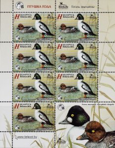 Belarus 2016 MNH Stamps Mini Sheet Scott 979 Birds Ducks