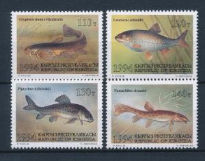 [36638] Kyrgyzstan 1994 Marine life Fish MNH