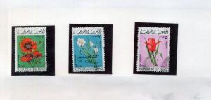 Iraq Middles East 1Persia Flowers M&U 70+Stamps (Hat 813