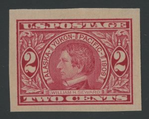 USA 371 - 2 cent Alaska Yukon - XF + Mint never hinged imperf