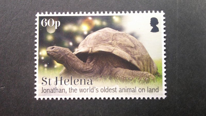 St. Helena 2019 Giant Tortoise Scott# 1156-1159 Complete Mint XF NH set of 4