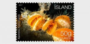 Stamps of Iceland 2017 MNH**- Iceland’s Seabed Ecosystem II