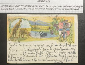 1902 Australia Picture Postcard Cover to Jodoigne Belgium