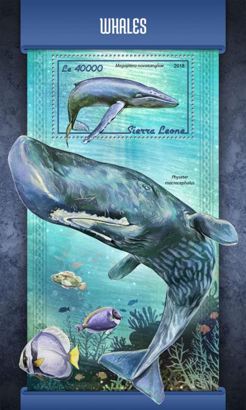 Z08 SRL18101b Sierra Leone 2018 Whales Marine Life MNH ** Postfrisch