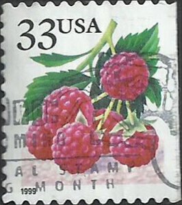 # 3295 USED RASPBERRIES