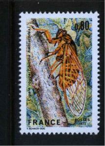 FRANCE 1555 MNH