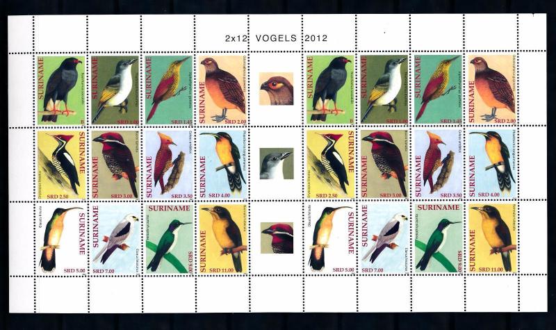 [SUV1889] Surinam Suriname 2012 Birds Vögel Oiseaux Miniature Sheet with tab MNH